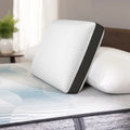 Beautyrest Black Diamond Memory Foam Pillow with AquaCool Technology
